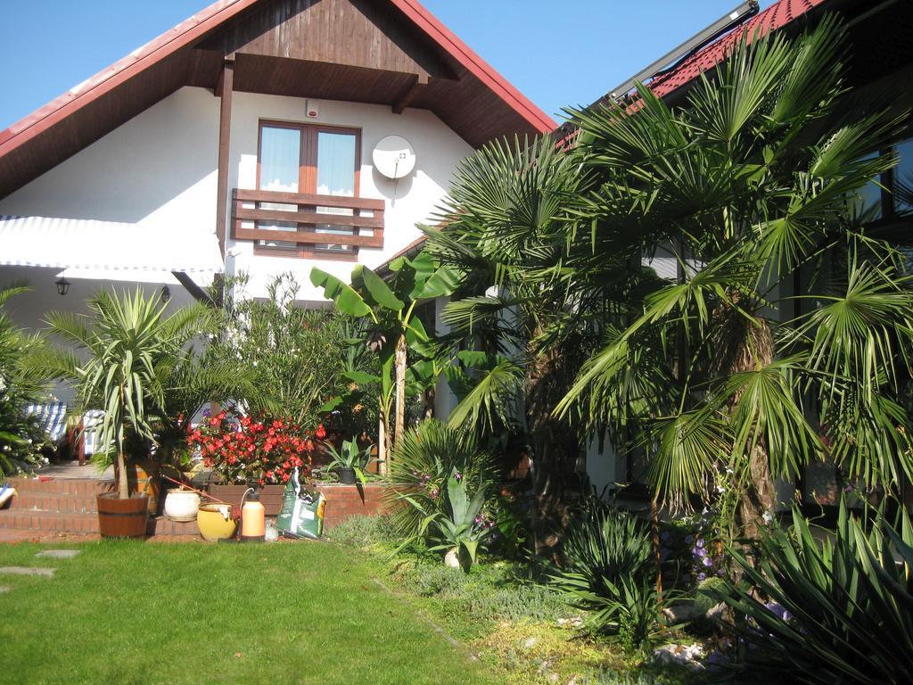 Pokoje Goscinne Pod Palmami Busko-Zdrój Habitación foto